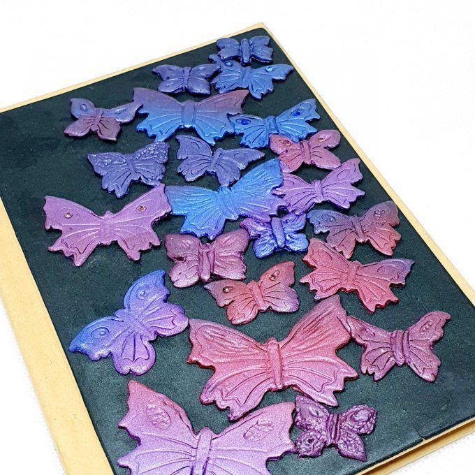 Coffret carnet papillons multicolores - marque page améthystes véritables